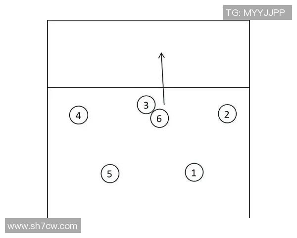 重庆排球队战术解析与对比深度剖析球队优势与不足之处